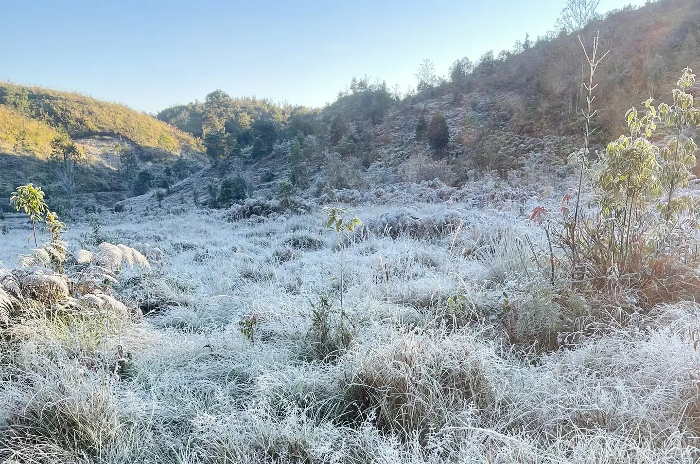 Đài PTTH Hà Nội